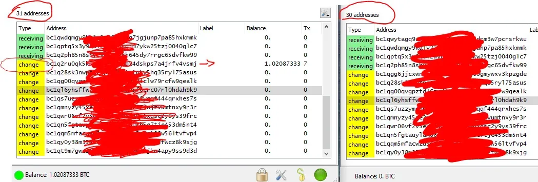 Electrum-Fake-Balance-Flash-Tool-2025-1.jpg
